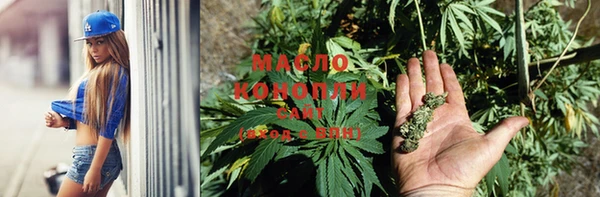 прущий лед Михайлов