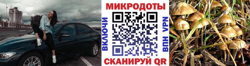 Псилоцибиновые грибы GOLDEN TEACHER  где продают наркотики  Бежецк 